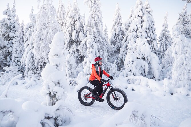 Private Electric Fat Bike Winter Tour in Rovaniemi - A short ride beside the Kemijoki River