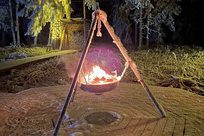 PRIVATE Glass Igloo Dinner Under Northern Lights - Key points at a glance