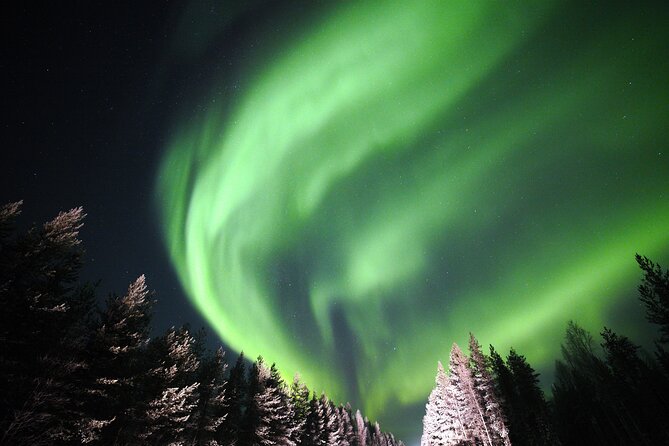 Private Group: Northern Lights Hunt 4x4 SUV with Aurora guarantee - Why a private aurora hunt works better in Levi