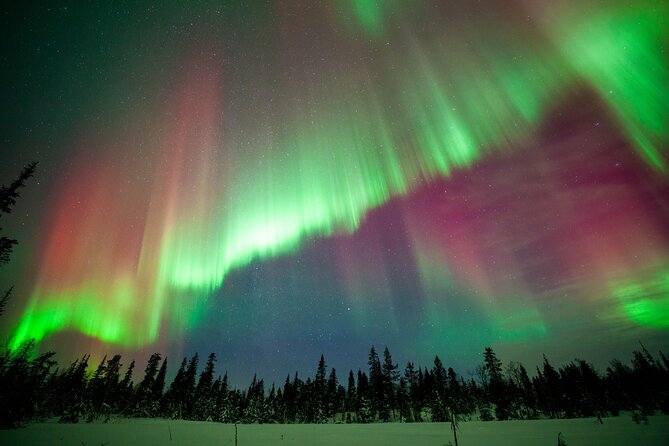 Private Group: Northern Lights Hunt 4x4 SUV with Aurora guarantee - Fire, tea, marshmallows, and the Arctic pause