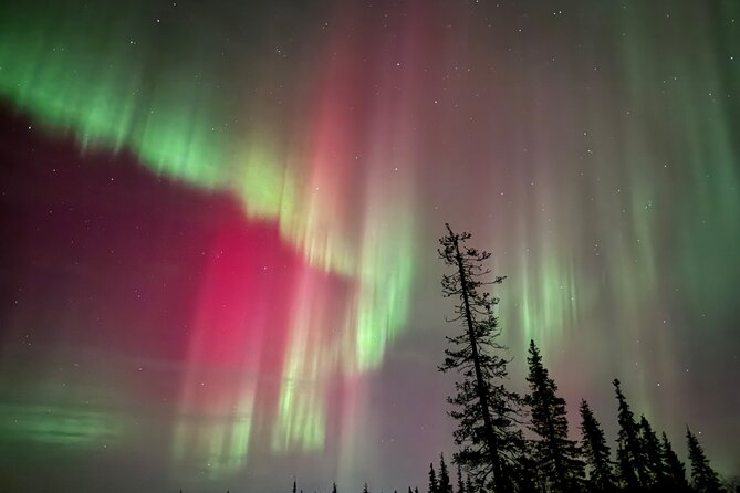 Private Group: Northern Lights Hunt 4x4 SUV with Aurora guarantee - The Northern Lights guarantee needs a careful reading