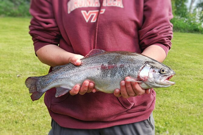 Private Guided Fishing Boat Tour in Rovaniemi - Swimming, Snacks, and the Human Side of the Trip