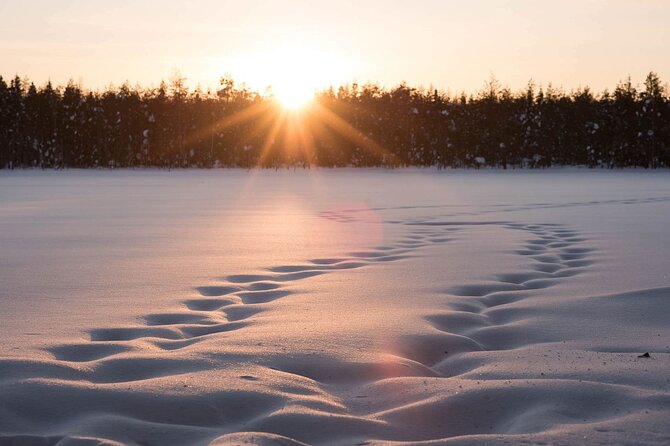 Private Lappish evening in the wilderness with traditional sauna and dinner - The Wood-Heated Sauna Comes First