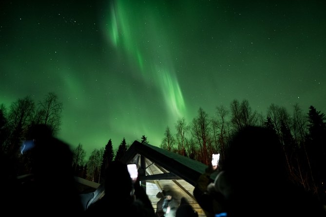 Private Northern Lights Hunting Expedition - How much value do you get for $216.74?
