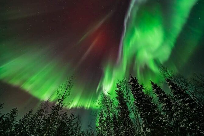 Private Northern Lights Hunting Tour Rovaniemi - Stories, Questions, and A Personal Guide