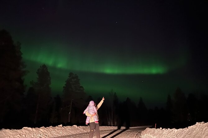 Private Northern Lights Hunting Tour Rovaniemi - Weather, Cancellations, and Practical Planning