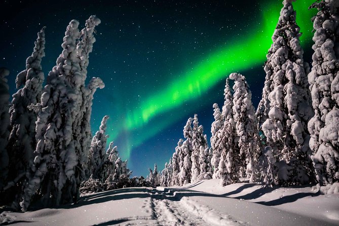 Private Northern Lights photography tour in Rovaniemi - Two or three locations, chosen for conditions