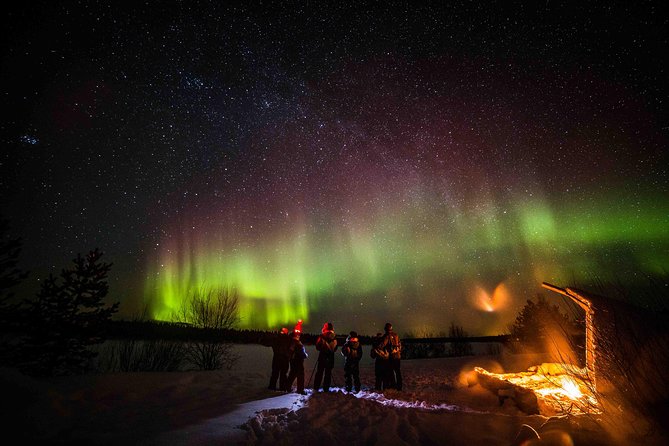 Private Northern Lights photography tour in Rovaniemi - Price: costly for one person, sensible for four