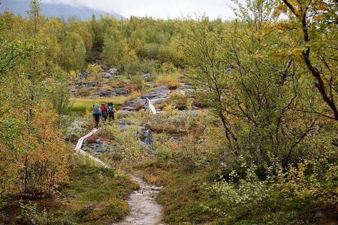 Private Northern Lights Tour With Skis Or Snowshoes in Pyhä - Key Details Before You Book