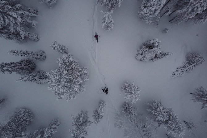 Private Northern Lights Tour With Skis Or Snowshoes in Pyhä - Why This Pyhä Night Tour Feels Different