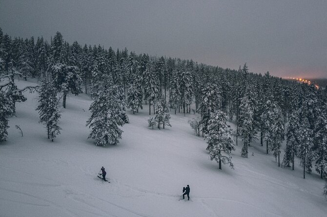 Private Northern Lights Tour With Skis Or Snowshoes in Pyhä - A Guide Who Can Adjust to Your Group