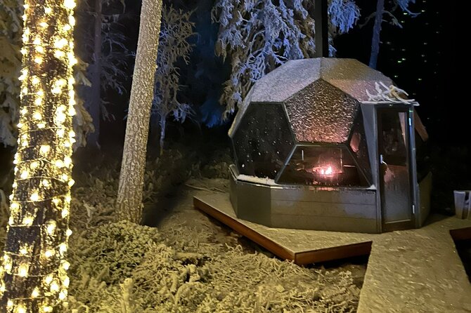 PRIVATE Party dinner in a Glass Igloo Under Northern Lights - Is the experience good value at $323.42?