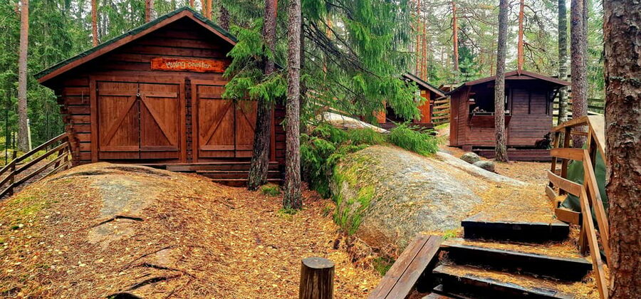 PRIVATE Reindeer Park Adventure by VIP Car - Should you book the reindeer park adventure?