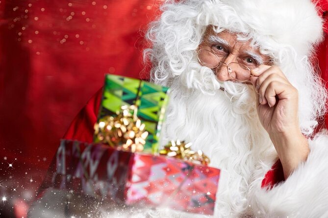 Private Santa Claus Village & Rovaniemi city tour - Key Points to Know Before You Book