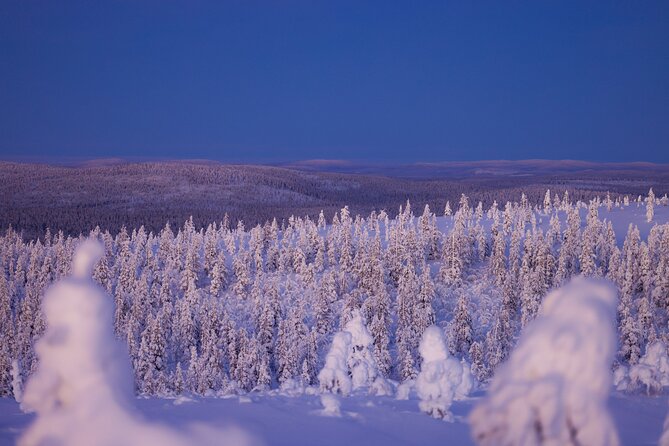 Private Snowshoe or Ski Adventure in Lapland from Rovaniemi - Snowshoes, skis, and the feel of the route