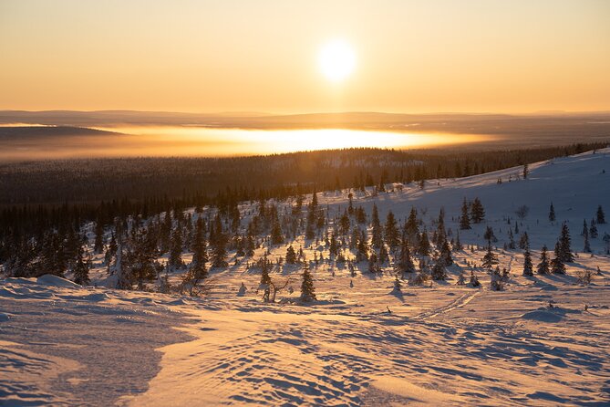 Private Snowshoe or Ski Adventure in Lapland from Rovaniemi - Is $1,183.48 good value?