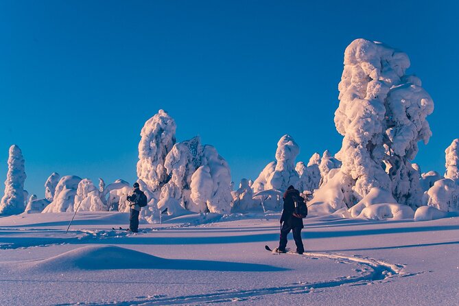 Private Snowshoe or Ski Adventure in Lapland from Rovaniemi - What the seven-hour day looks like