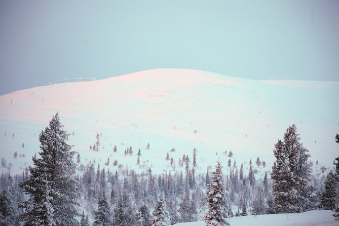 Private: Snowshoeing Safari in spectacular National Park - Snowshoeing through Pallas-Yllästunturi National Park