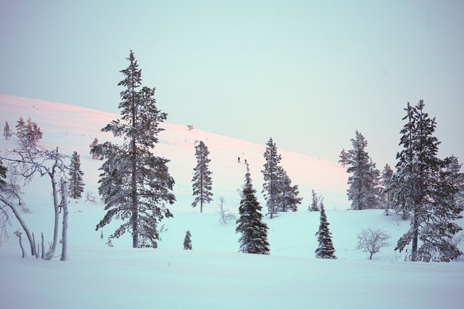 Private: Snowshoeing Safari in spectacular National Park - What the $266.16 price really covers