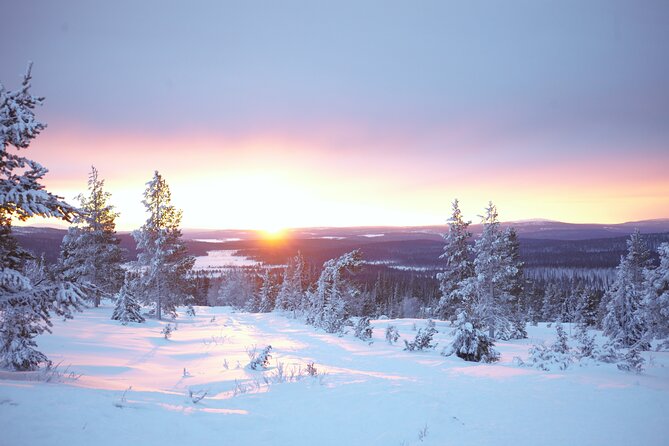 Private: Snowshoeing Safari in spectacular National Park - A private guide changes the pace
