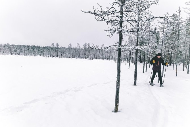 Private Snowshoeing Tour In Pyhätunturi With A Local Guide - Who will enjoy this Pyhätunturi outing most
