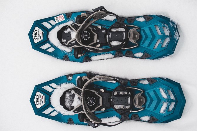 Private Snowshoeing Tour In Pyhätunturi With A Local Guide - Booking, meeting point, and cancellation advice