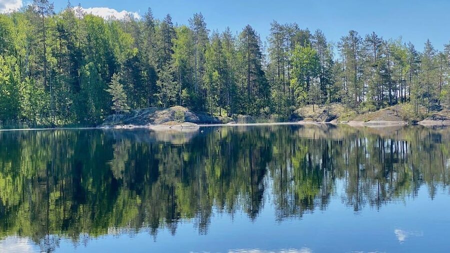 Puumala: Lake Saimaa Seal Watching Cruise - Why Saimaa seals make this more than a boat ride