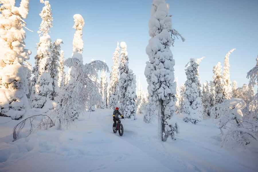 Pyhätunturi: Electric Fatbike Tour in Finnish Lapland - How much value do you get for $133?