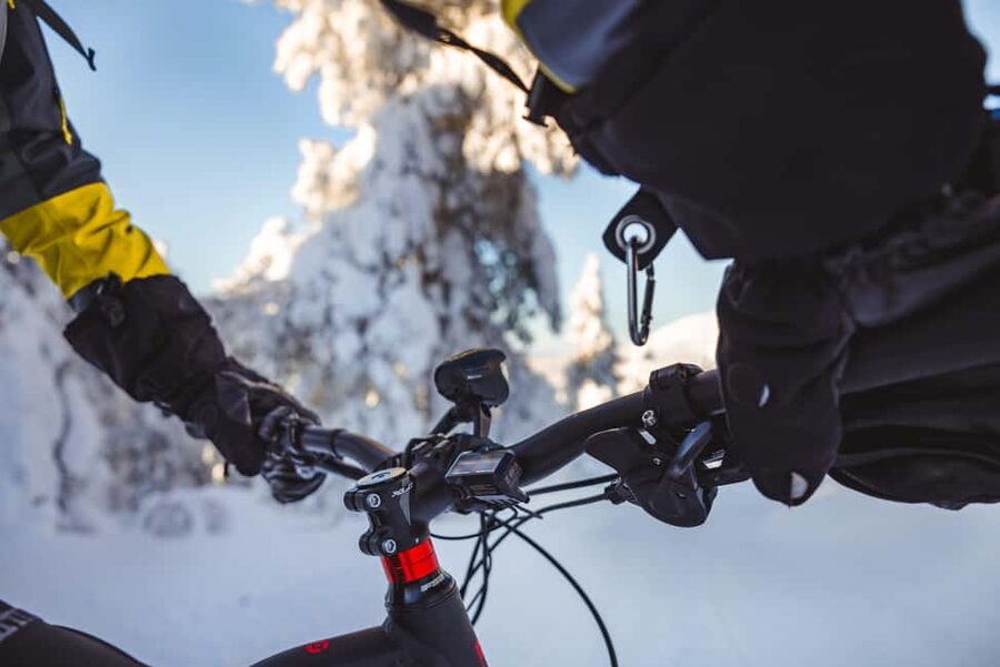 Pyhätunturi: Electric Fatbike Tour in Finnish Lapland - Who should book this activity?