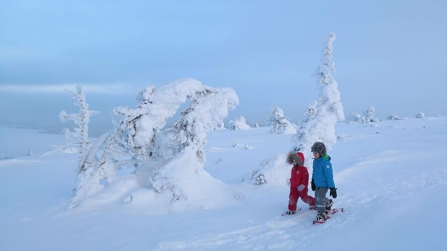 Pyhätunturi: Scenic Snowshoeing Tour in Finnish Lapland - Is $133 a fair price?