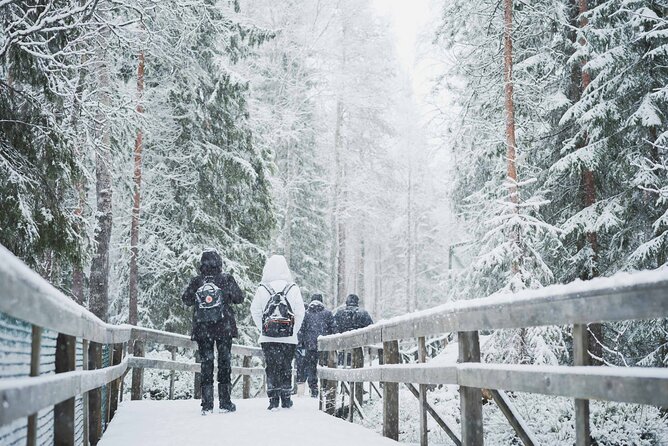 Ranua Wildlife Park Day : Visit the Arctic Animals! - Winter visits need extra caution