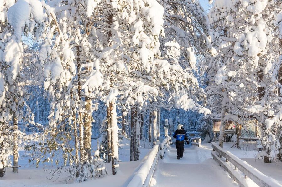 Ranua: Wildlife Park Entrance Ticket - The polar bear, and why expectations matter