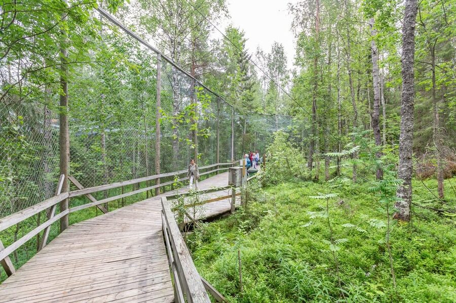 Ranua: Wildlife Park Entrance Ticket - Lynx, owls, and the northern animal collection