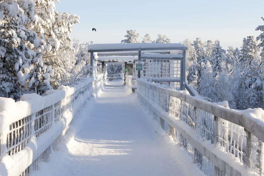 Ranua Wildlife Park Guided Tour from Rovaniemi - Booking, cancellation, and timing