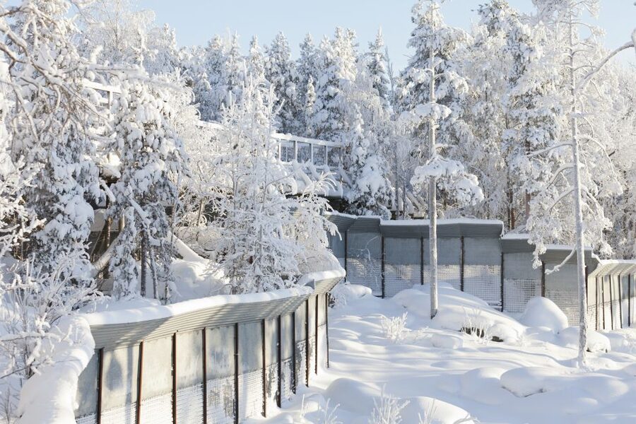 Ranua Wildlife Park Guided Tour from Rovaniemi - What the $165 price really covers