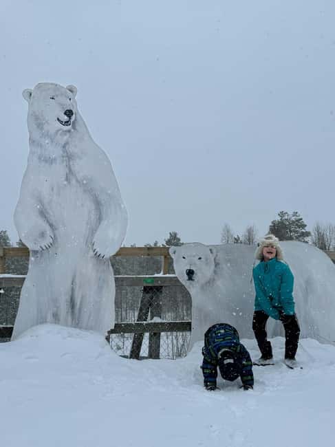 Ranua Wildlife zoo tour with lunch buffet included - The winter factor: beautiful, cold, and demanding