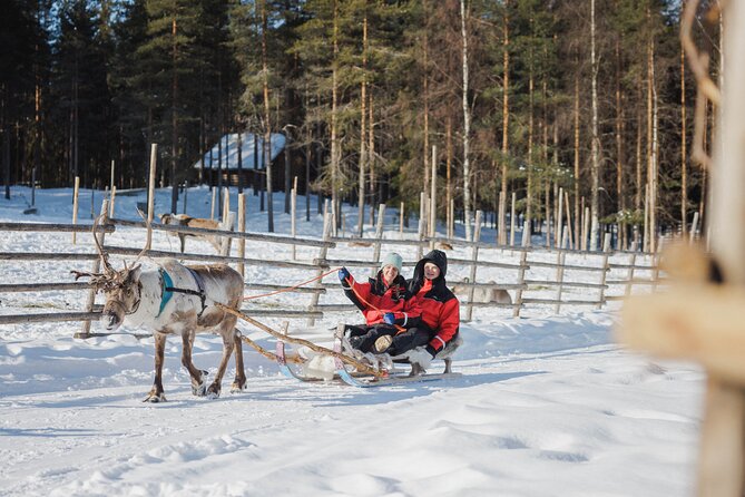 Reindeer Experience with Sledge Ride - How the $104.76 price makes sense