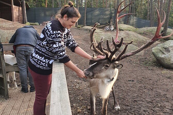 Reindeer Park Adventure - Timing matters, especially for cruise passengers