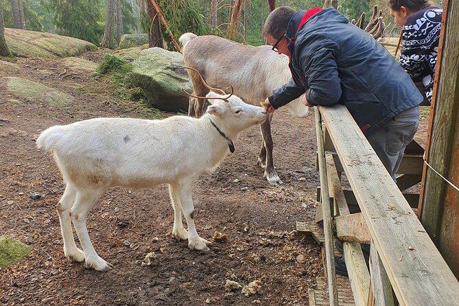 Reindeer Park Adventure - Who will enjoy this most?