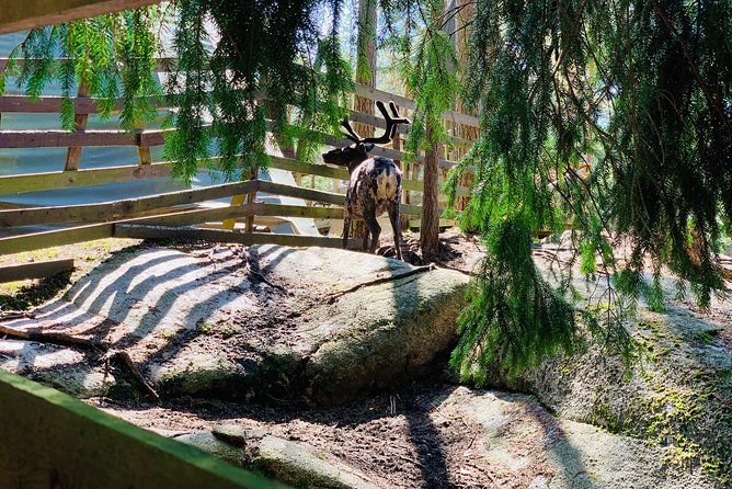 Reindeer Park & Horse Stables Safari - Leaving Helsinki for Nuuksio National Park
