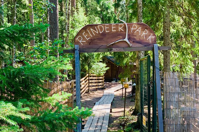 Reindeer Park & Horse Stables Safari - What actually happens at the reindeer ranch