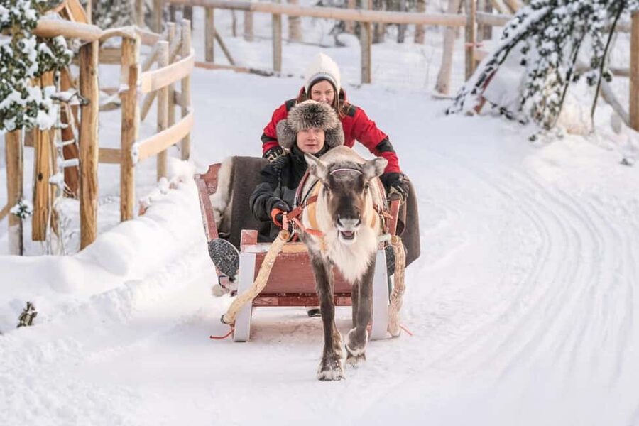 Reindeer Safari at a 200-Year-Old Farm & Long Sled Ride - A family farm with roots in Lapland’s past