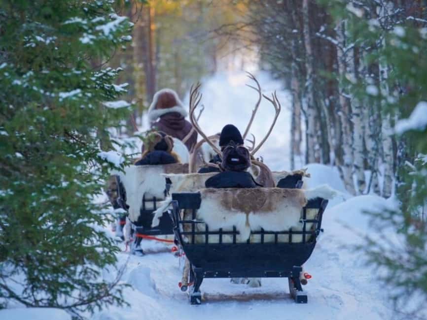 Reindeer Safari at a 200-Year-Old Farm & Long Sled Ride - Hot tea, cookies, and time to warm up