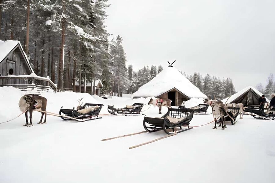Reindeer Safari at a 200-Year-Old Farm & Long Sled Ride - Receiving your reindeer driving license
