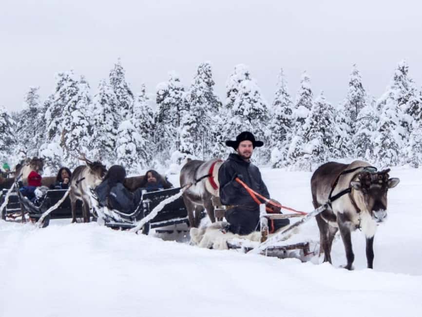 Reindeer Safari at a 200-Year-Old Farm & Long Sled Ride - Pickup, timing, and group size