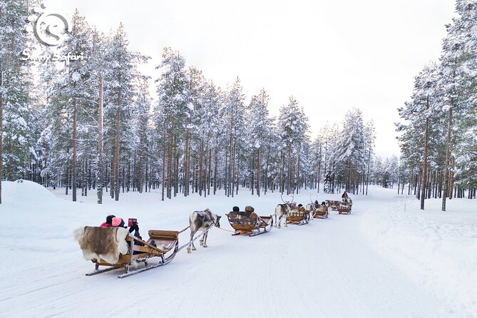 Reindeer Safari in Arctic Wilderness - Thermal clothing helps, but it does not replace your own layers