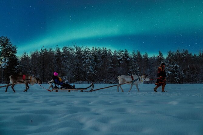 Reindeer Sleigh Ride Across the Night in Apukka Resort Rovaniemi - Meeting the reindeer up close