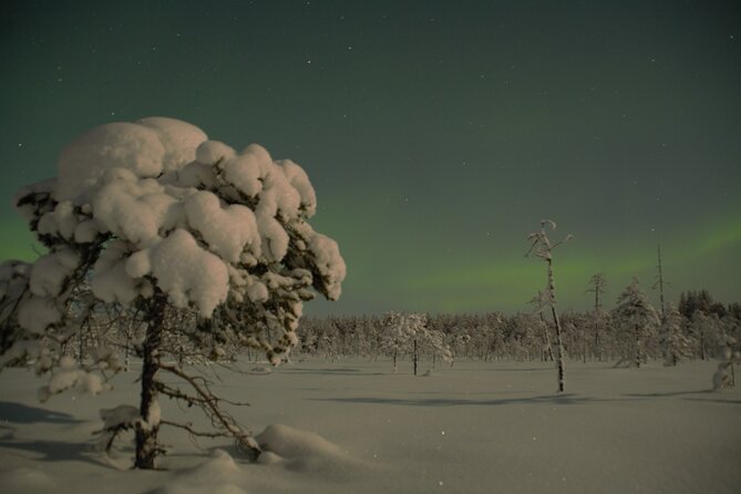 Reindeer Sleigh Ride Across the Night in Apukka Resort Rovaniemi - Sausage, hot juice, and the campfire stop