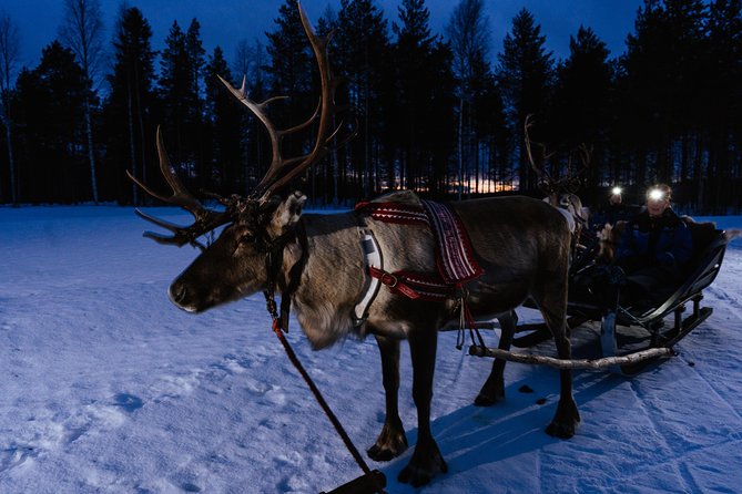 Reindeer Sleigh Ride Across the Night in Apukka Resort Rovaniemi - Is $223.57 a fair price?