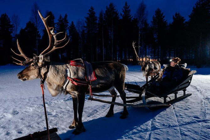 Reindeer Sleigh Ride Across the Night in Apukka Resort Rovaniemi - A slow sleigh through the night forest